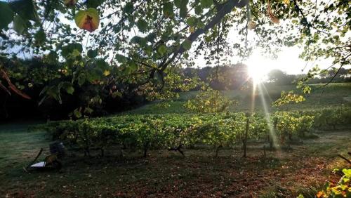 Château Régaldo-Saint Blancard