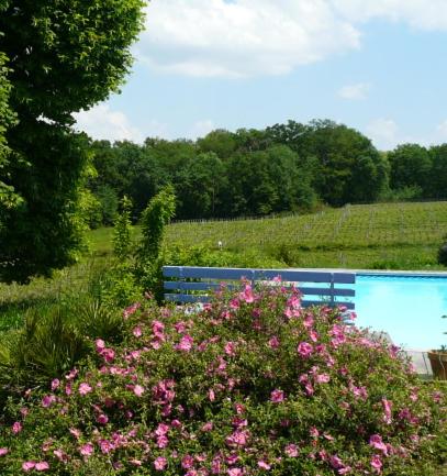 un banc bleu dans un champ avec des fleurs roses dans l'établissement Château Régaldo-Saint Blancard, à Salleboeuf