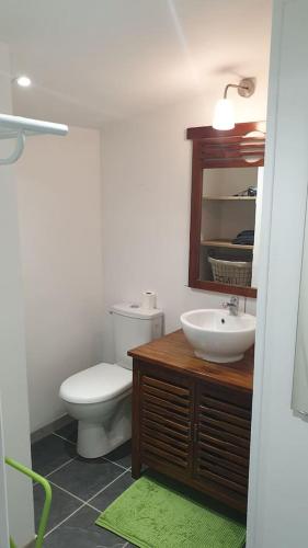 une salle de bain avec toilettes, lavabo et miroir dans l'établissement La clef des champs 3, à Meillac