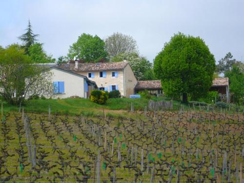 un vignoble avec une maison et un champ de vignes dans l'établissement Château Régaldo-Saint Blancard, à Salleboeuf