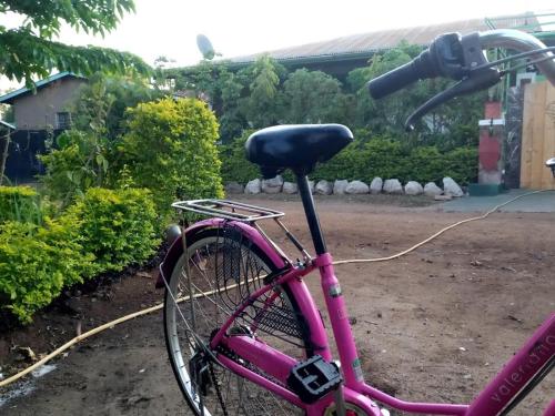 KILIMANJARO MAD MONKEY'S HOTEL – Photos 3