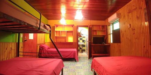 a room with two bunk beds in a room at Cabinas Casa Dolce Vita in Puerto Viejo