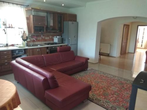un soggiorno con divano e cucina di Guest House SAMSON a Vahaneč