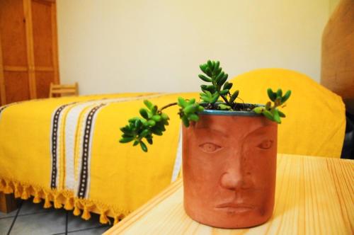 a head vase with a plant in it on a table at Casa Gecko in Oaxaca City