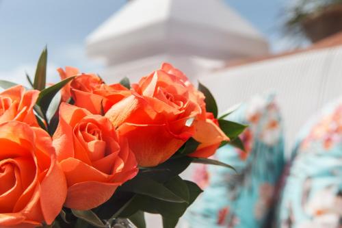a bouquet of orange roses in a vase at Casa de la Renta By Mustique in Cartagena de Indias