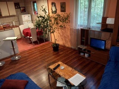 a living room with a couch and a table at Apartmani Lazić in Pluzine