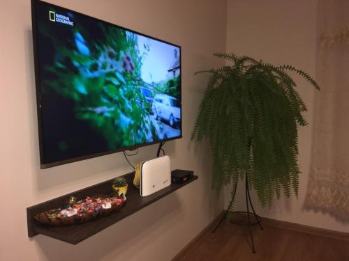 TV de pantalla plana en una pared con una planta en Gaisma, en Ventspils