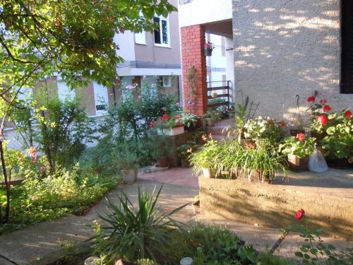 a garden with potted plants in front of a building at Apartmani Sobe BILJANA in Arandjelovac
