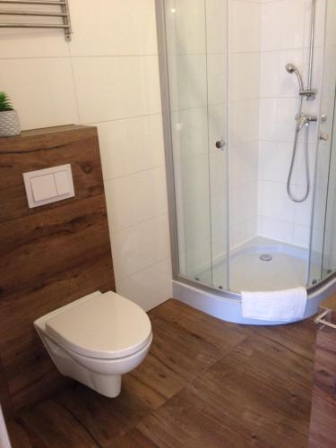 a bathroom with a toilet and a glass shower at Domki Wśród Jabłoni in Gąski