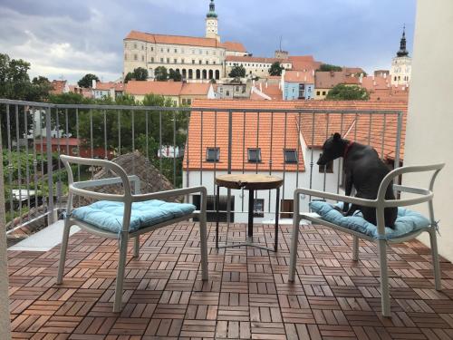 a dog sitting on a balcony with two chairs and a table at Apartmány Sebastian in Mikulov