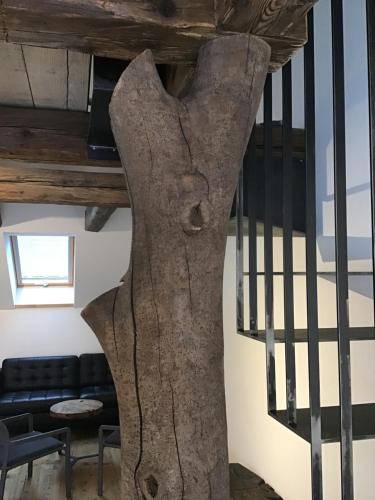 a large tree trunk standing next to a staircase at Apartmány Sebastian in Mikulov