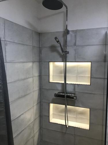 a shower with a shower head in a bathroom at Apartmány Sebastian in Mikulov