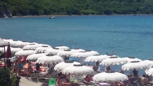 a group of umbrellas on a beach with water at Lodge Rosa in Agropoli