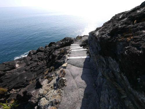 a path on the side of a cliff near the ocean at Te Whara at Kauri Mountain Point in Whangarei