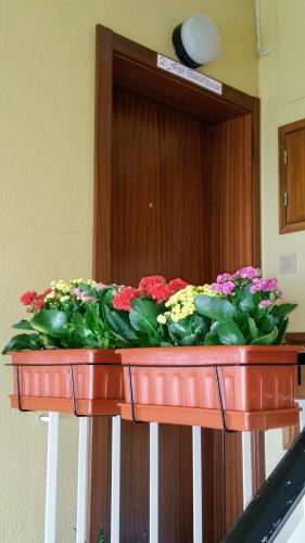 a planter filled with flowers in front of a door at D.ANA GUESTHOUSE in Lagos