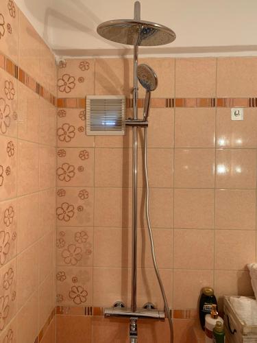 Eva suite Vip excellent studio 1