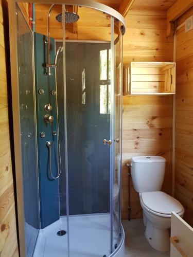 a shower stall in a bathroom with a toilet at Le Clos des Écureuils in Vouzon