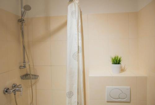 a bathroom with a shower with a plant on a shelf at Lindenhof WE 5 in Dahme