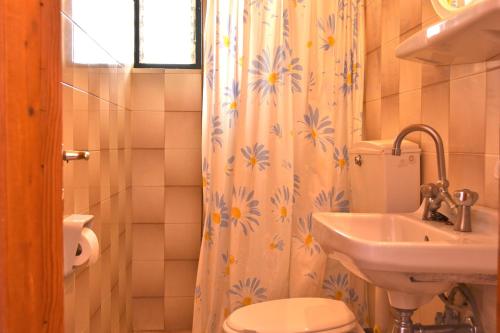 a bathroom with a sink and a toilet and a shower curtain at Oniro Apartments in Xiropigado