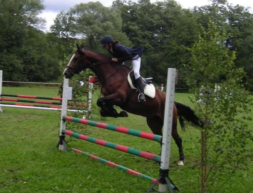 a person riding a horse jumping over an obstacle at Apartmán Residence Nábřeží in Beroun