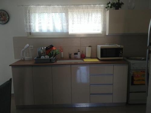 Kuchyň nebo kuchyňský kout v ubytování Apartment for relaxing and for health