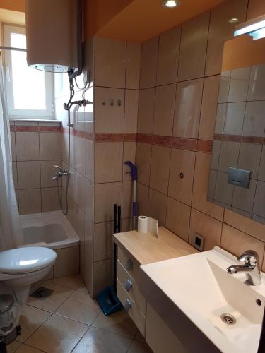 a bathroom with a sink and a toilet and a shower at Apartma Opendoors Postaja in Most na Soči