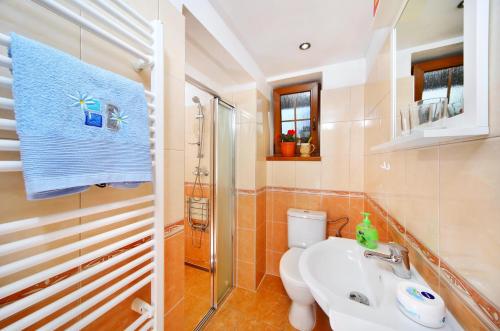 什平德萊魯夫姆林的住宿－U Kobrů，浴室配有卫生间、盥洗盆和淋浴。