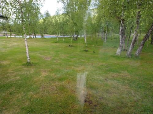un campo con árboles y césped con vistas en Vetsikon Leirintämökit, en Utsjoki