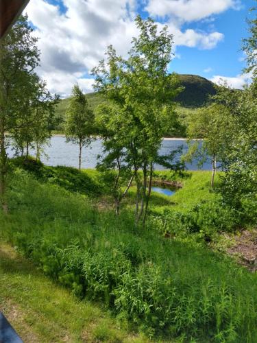 烏茲約基的住宿－Vetsikon Leirintämökit，享有树木和草地的湖泊美景