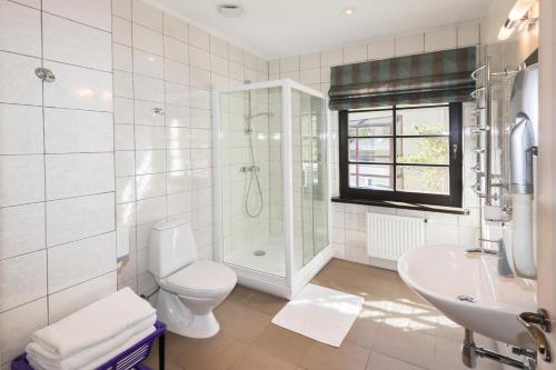 a bathroom with a toilet and a shower and a sink at Guest House & Villa Astoma in Palanga