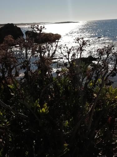 a view of the ocean from the shore at Sardinia for you in Oristano