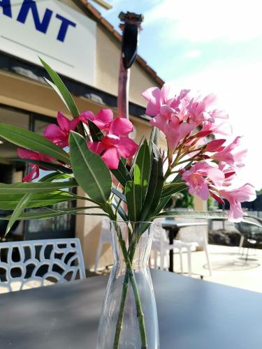 a vase filled with pink flowers on a table at Kyriad Carcassonne - Aéroport in Carcassonne