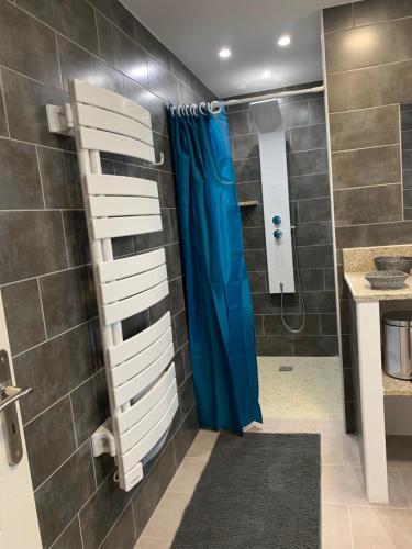 La salle de bains est pourvue d'une douche avec un rideau bleu. dans l'établissement Appartement corse olmeto, à Olmeto