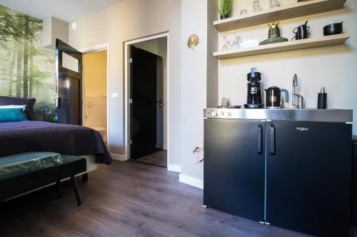 迪溫特的住宿－Citystays Deventer，客房设有一张床和一台蓝色冰箱