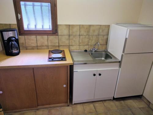 une petite cuisine avec un évier et un réfrigérateur dans l'établissement Les Plans, à Saint-Clément