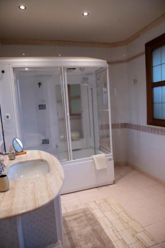 a bathroom with a shower and a sink at Boutique Villa Etna d'A'mare in Trecastagni