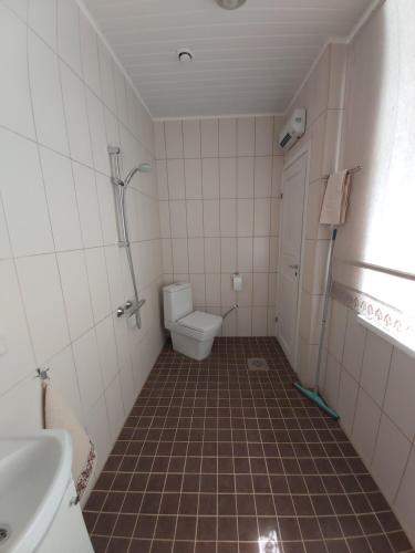 a bathroom with a toilet and a sink at Paslepa Mõis in Paslepa