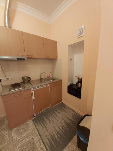 a small kitchen with a sink and a counter at Paslepa Mõis in Paslepa