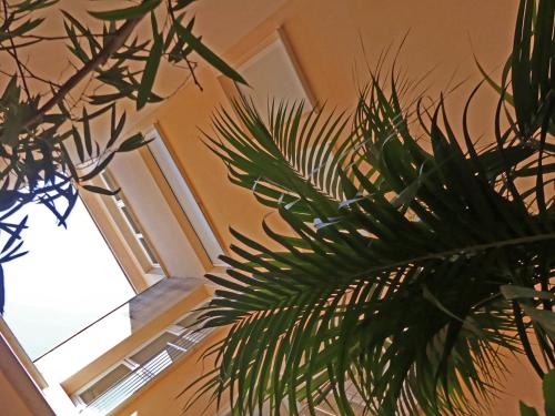 Fotografie z fotogalerie ubytování Villa Mon Repos v destinaci Colera