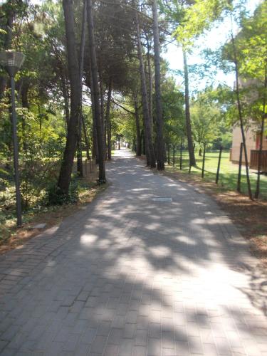 a tree lined road in a park with trees at Villaggio Mare Blu in Bibione