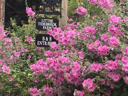 Little Tidebrook Farm – Photos 3