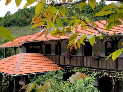 an older house with an orange roof at Konak Tosa in Poganovo