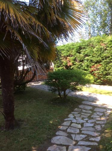 a palm tree next to a stone walk way at Chez Uli in Angresse