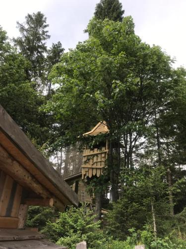 Luxury Chalet Strachan - Jacuzzi and Saunaにある庭