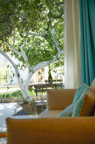 a living room with a couch and a tree at Boho Suites Denia in Denia