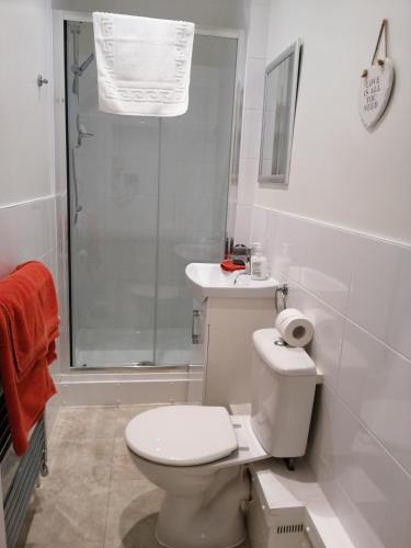a bathroom with a toilet and a sink and a shower at Olive Tree Guest House in Uttoxeter