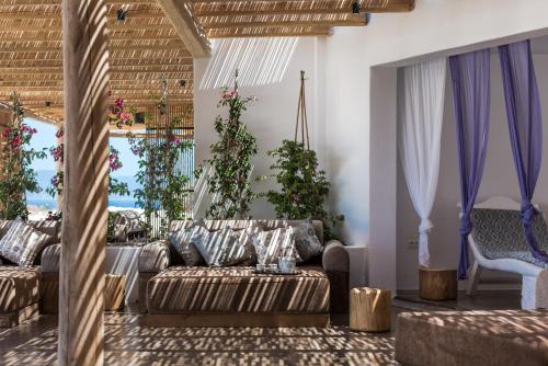 a living room with a couch and some plants at Andronis Arcadia Hotel in Oia