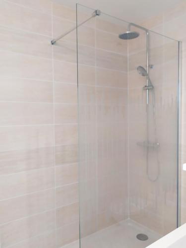 une douche avec une porte vitrée dans une salle de bain dans l'établissement La terrasse vue mer à 5 min de la plage, à Blonville-sur-Mer