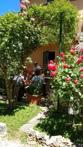 a group of people sitting in a garden with roses at Petalo Rosso b&b in Lenola