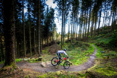 a person riding a bike on a dirt trail in a forest at The Downshire Arms Apartments Hilltown in Newry